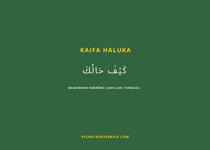 Kata Kaifa Haluka
