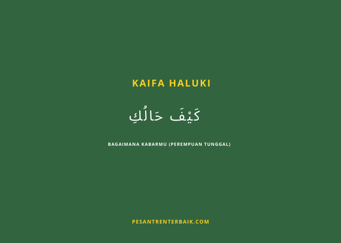 Kata Kaifa Haluki