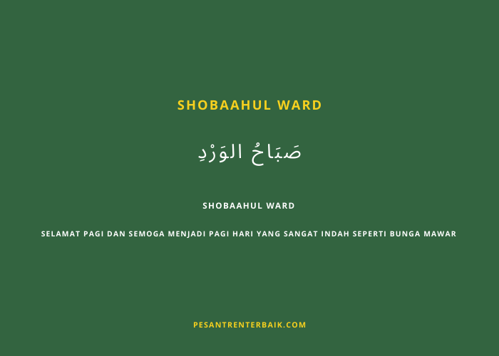 shobaahul ward