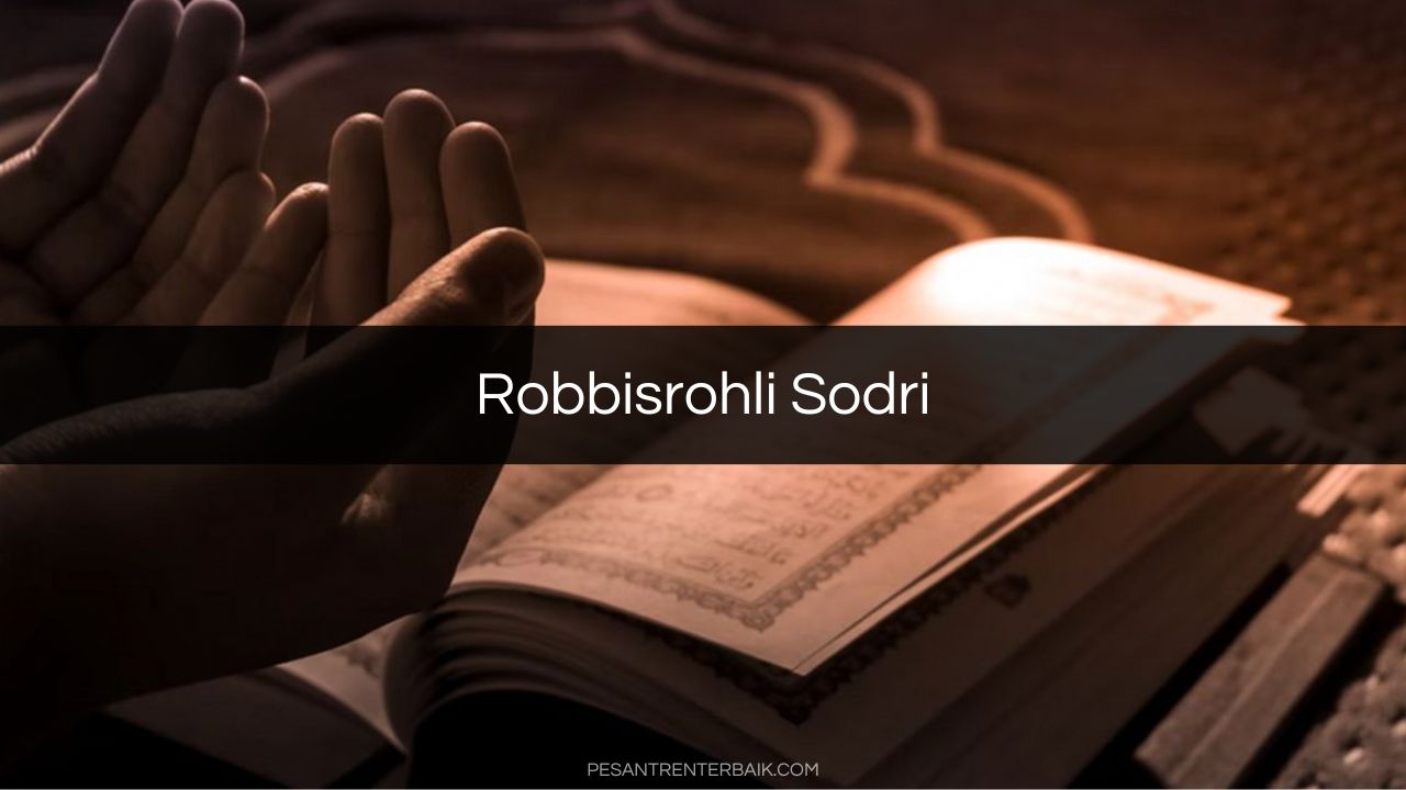 Robbisrohli Sodri